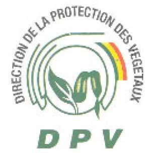 logo de la dpv